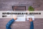 奥萨苏纳足球俱乐部队员介绍?奥萨苏纳队徽图片?