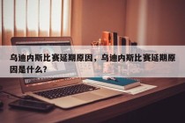 乌迪内斯比赛延期原因，乌迪内斯比赛延期原因是什么？