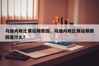 乌迪内斯比赛延期原因，乌迪内斯比赛延期原因是什么？