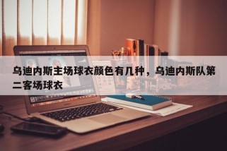 乌迪内斯主场球衣颜色有几种，乌迪内斯队第二客场球衣