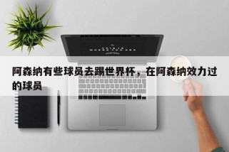阿森纳有些球员去踢世界杯，在阿森纳效力过的球员