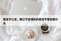 张玉宁辽足，原辽宁足球队的张玉宁现在做什么