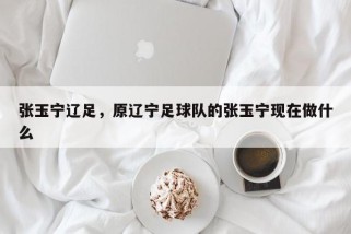 张玉宁辽足，原辽宁足球队的张玉宁现在做什么