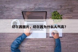 切尔茜图片，切尔茜为什么人气高？