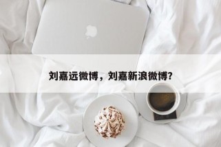 刘嘉远微博，刘嘉新浪微博？