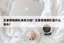 王者荣耀狼队成员介绍？王者荣耀狼队是什么来头？