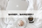 加内特图片，加内特超清图片？