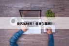 曼苏尔财团？曼苏尔集团？