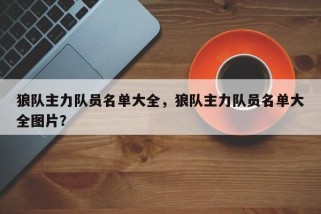 狼队主力队员名单大全，狼队主力队员名单大全图片？