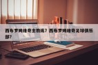 西布罗姆维奇主教练?西布罗姆维奇足球俱乐部?