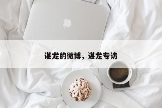 谌龙的微博，谌龙专访