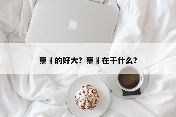 蔡赟的好大?蔡赟在干什么?