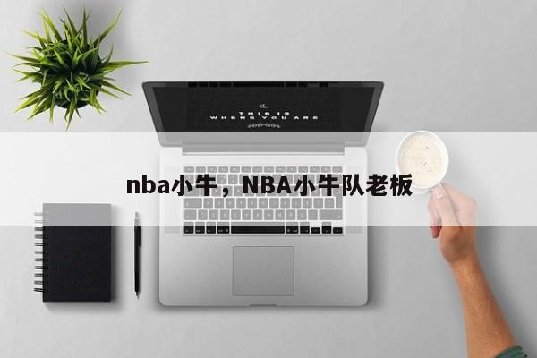nba小牛,NBA小牛队老板