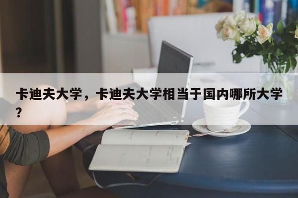 卡迪夫大学,卡迪夫大学相当于国内哪所大学?